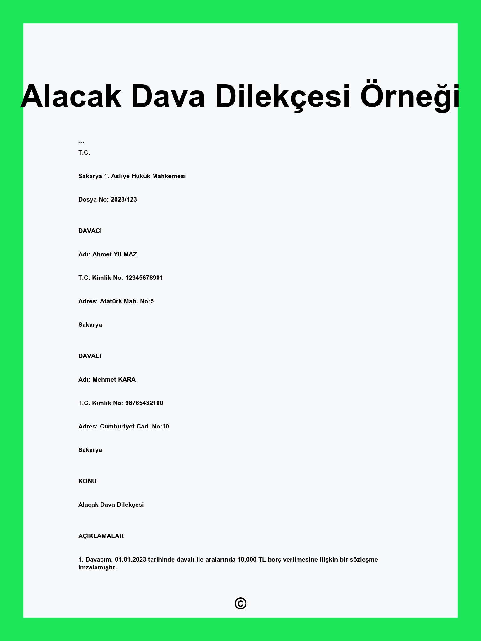 Alacak Dava Dilekçesi Örneği